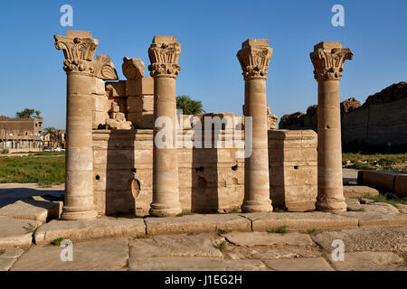 Colonnes romaines à l'entrée du complexe du temple de Dendérah ptolémaïque, Qena, Égypte, Afrique Banque D'Images
