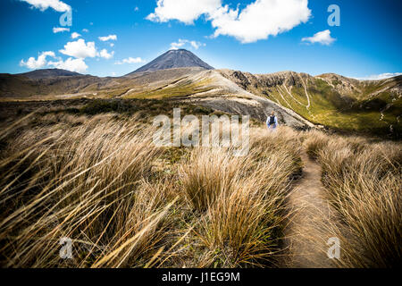 Un randonneur marchant vers le Mont Ngauruhoe en Parc National de Tongariro sur le nord isalnd de Nouvelle-Zélande. Banque D'Images