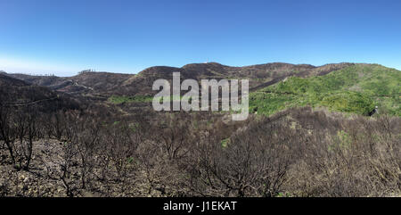 La Gomera - paysage après l'incendie de 2012 Banque D'Images