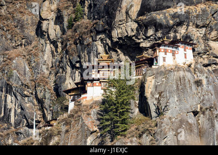 Taktshang Goemba ou Tiger's nest le magnifique temple temple bouddhiste (Bhoutan) Banque D'Images