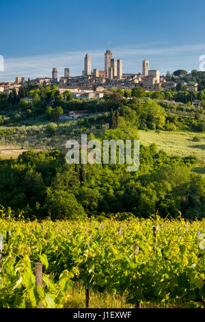 Compte tenu de l'après-midi ville médiévale de San Gimignano, Toscane Italie Banque D'Images