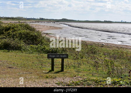 Les chiens sur la plage avec panneau en bois mène à l'arrière-plan, la réserve naturelle de Snettisham Norfolk, Royaume-Uni Banque D'Images