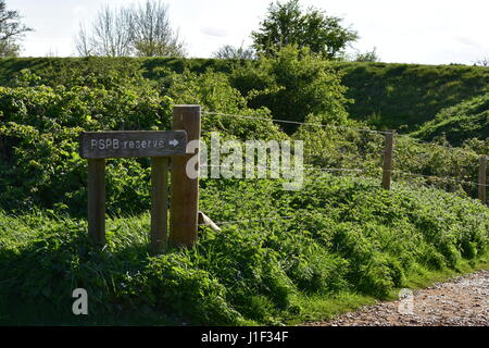 Snettisham RSPB panneau en bois Banque D'Images