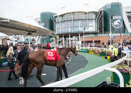 Enchères,sur,chevaux,a,la,Goffs Aintree,vente aux enchères,Liverpool, Merseyside, Angleterre,Ville,Ville,Nord,Nord,Angleterre,English,UK.,Royaume-uni,Grande-Bretagne, Banque D'Images