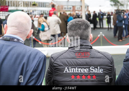 Enchères,sur,chevaux,a,la,Goffs Aintree,vente aux enchères,Liverpool, Merseyside, Angleterre,Ville,Ville,Nord,Nord,Angleterre,English,UK.,Royaume-uni,Grande-Bretagne, Banque D'Images