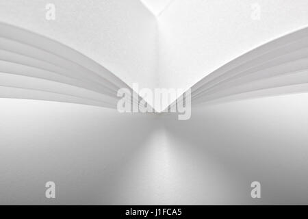 Résumé du livre blanc. High-key technique d'éclairage. Banque D'Images