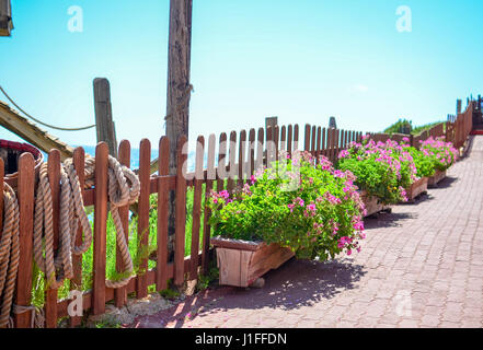 Fleurs par une clôture sur un beau sentier en pierre avec vue sur la mer Banque D'Images