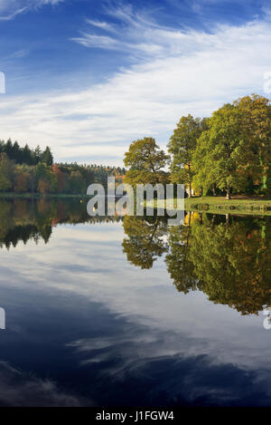 Réflexions d'automne dans un lac du Wiltshire. Banque D'Images