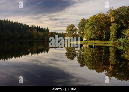 Réflexions d'automne dans un lac du Wiltshire. Banque D'Images