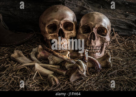 Still Life peinture photographie avec couple crâne humain sur le foin et des os d'animaux en arrière-plan la grange, vintage et tons sombres pour halloween horreur Banque D'Images