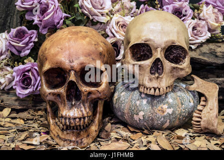 Still Life photography with couple crâne humain sur les feuilles séchées avec des roses et le bois d'amour, concept, grunge, vintage et tons sombres pour horro Banque D'Images