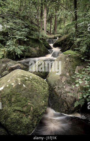 Wyming brook nature reserve, Sheffield, South Yorkshire, Angleterre Banque D'Images