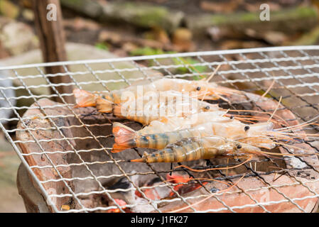 Gambas grillées sur le gril, thai style Banque D'Images