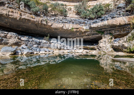 Étang à côté de cavern à Jebel Sham, le Grand Canyon d'Oman Banque D'Images