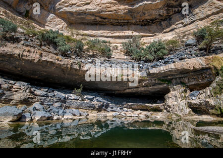 Étang à côté de cavern à Jebel Sham, le Grand Canyon d'Oman Banque D'Images
