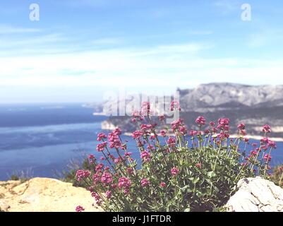 Vue sur la baie de Cassis, dans le sud de la France, avec les Calanques en arrière-plan. La photo a été prise à partir de "Les Routes des cretes'. Banque D'Images