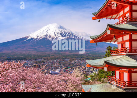 Fujiyoshida, Japon à Chureito Pagoda et Mt. Fuji au printemps avec les cerisiers en fleurs. Banque D'Images