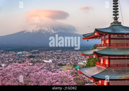 Fujiyoshida, Japon à Chureito Pagoda et Mt. Fuji au printemps avec les cerisiers en fleurs. Banque D'Images