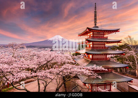 Fujiyoshida, Japon à Chureito Pagoda et Mt. Fuji au printemps avec les cerisiers en fleurs. Banque D'Images