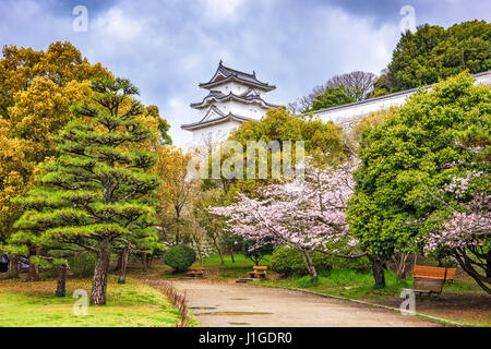 Akashi, le Japon au château d'Akashi au printemps. Banque D'Images