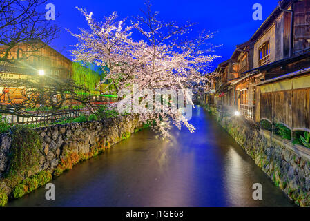 Shirakawa de Gion, Kyoto, Japon au printemps. Banque D'Images