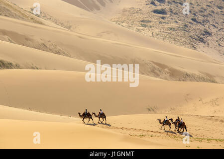 Les touristes sur des chameaux dans les dunes du désert de Gobi, en Mongolie. Banque D'Images