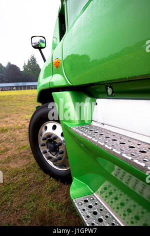 Détail d'un grand vert moderne semi truck avec une peinture brillante et garniture en aluminium sur les marches de sa cabine avec la réflexion de l'environnement Banque D'Images