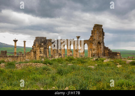 Fouilles de la ville romaine dans l'archéologique de Volubilis, au Maroc. Banque D'Images