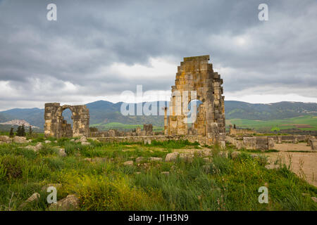 Fouilles de la ville romaine dans l'archéologique de Volubilis, au Maroc. Banque D'Images