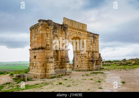 Fouilles de la ville romaine dans l'archéologique de Volubilis, au Maroc. Banque D'Images