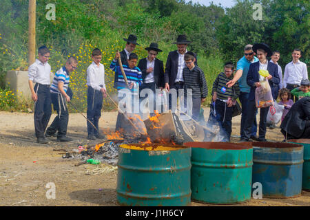 Haïfa, Israël - 10 avril 2017 : Les Juifs effectuer Biur Hamets (gravure) (aliments), levé à Haïfa, Israël. Cela fait partie de la maison de vacances de Pâque Banque D'Images