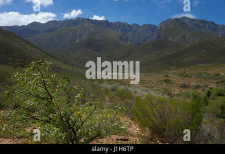 Hills et du paysage autour de Robinson , Western Cape, Afrique du Sud Banque D'Images