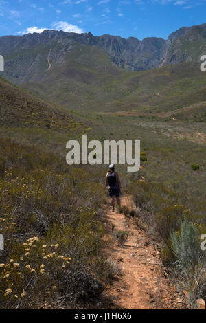 Walker en collines et paysage autour de Robinson , Western Cape, Afrique du Sud Banque D'Images