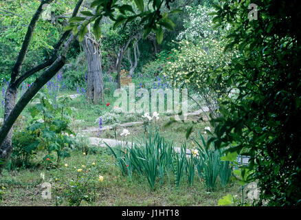 Chemin d’accès au jardin. Banque D'Images