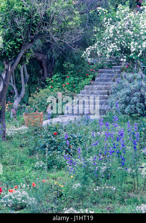 Escaliers dans le jardin. Banque D'Images