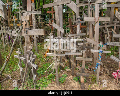 Grabarka, Pologne - 14 août 2016 : Holly traverse portées par les pèlerins pour le Mont Grabarka. Banque D'Images