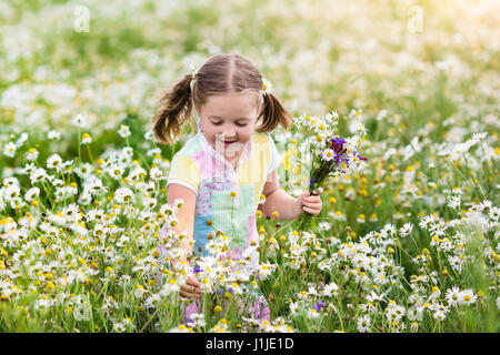 Enfant jouant au champ. daisy Girl picking des fleurs fraîches dans les marguerites pré sur journée ensoleillée. Les enfants jouent à l'extérieur. Les enfants d'explorer la nature. Peu de GI Banque D'Images