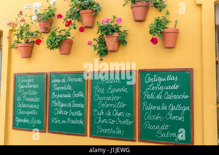 Poster d'ardoise écrit avec le menu des restaurants typiques, une décoration très colorée et des pots andalouse de Cadix, Andalousie, Espagne Banque D'Images