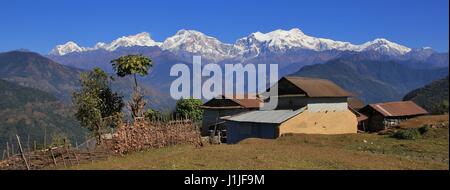 Scène sur la façon de Gaun Ghale, au Népal. Maisons et figuier en face d'une montagne. Manaslu. Banque D'Images