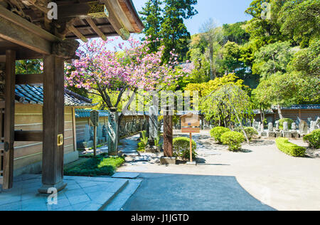 Le rock garden, ou karesansui, au Temple Meigetsu-in à Kamakura, Japon Banque D'Images