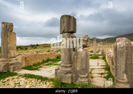 Fouilles de la ville romaine dans l'archéologique de Volubilis, au Maroc. Banque D'Images