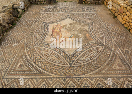 Fouilles de la ville romaine dans l'archéologique de Volubilis, au Maroc. Banque D'Images