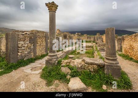 Fouilles de la ville romaine dans l'archéologique de Volubilis, au Maroc. Banque D'Images