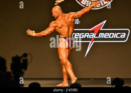 Concurrent au cours de la compétition de culturisme, catégorie jusqu'à 70 kg, à l'Arnold Classic l'Amérique du Sud, de l'événement tenu à la Transamerica Expo Center, zone sud de São Paulo (SP), le vendredi matin, l'Arnold Classic fait ses débuts à São Paulo, après quatre ans à Rio de Janeiro, avec des chiffres. (PHOTO : EDUARDO CARMIM/BRÉSIL PHOTO PRESSE) Banque D'Images