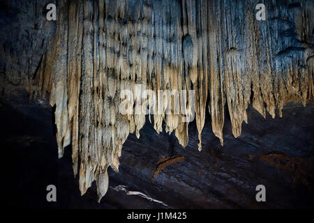 Flowstone / sheetlike grotte des tentures, des dépôts de calcite suspendu du plafond dans les grottes de Han-sur-Lesse / Grottes de Han, Ardennes, Belgique Banque D'Images