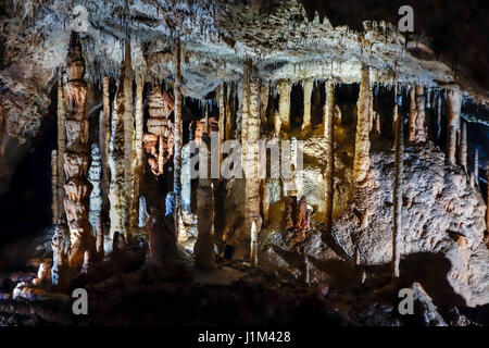 Faisceau des stalactites, stalagmites et colonnes en pierre calcaire de la grotte Grottes de Han-sur-Lesse / Grottes de Han, Ardennes Belges, Belgique Banque D'Images