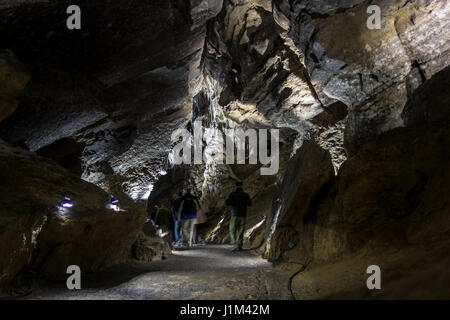 Les touristes visitant les galeries au cours de visite guidée dans les grottes de Han-sur-Lesse / Grottes de Han, Ardennes Belges, Belgique Banque D'Images