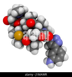 Antibiotique solithromycine molécule pharmaceutique. Le rendu 3D. Les atomes sont représentés comme des sphères classiques avec codage couleur : blanc (hydrogène), carbone (gris), l'azote (bleu), l'oxygène (rouge), le fluor (or). Banque D'Images