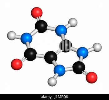 Molécule d'acide urique. Les taux sanguins élevés conduisent à la maladie de la goutte. Les atomes sont représentés comme des sphères classiques avec codage couleur : blanc (hydrogène), carbone (gris), l'oxygène (rouge), l'azote (bleu). Banque D'Images