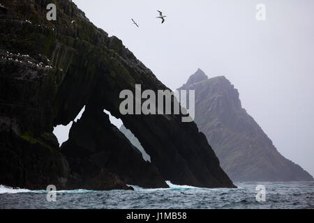 Le voyage en bateau au départ de Portmagee, comté de Kerry à l'Îles Skellig Michael, Scellig avec utilisé dans le film Star Wars dans la distance. Banque D'Images